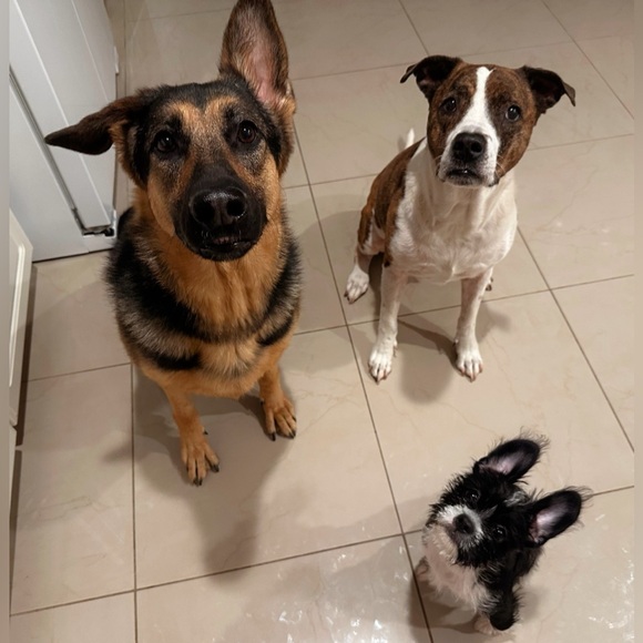 ***LIKE THIS LISTING TO BE NOTIFIED WHEN I GO LIVE**** - Picture 5 of 10